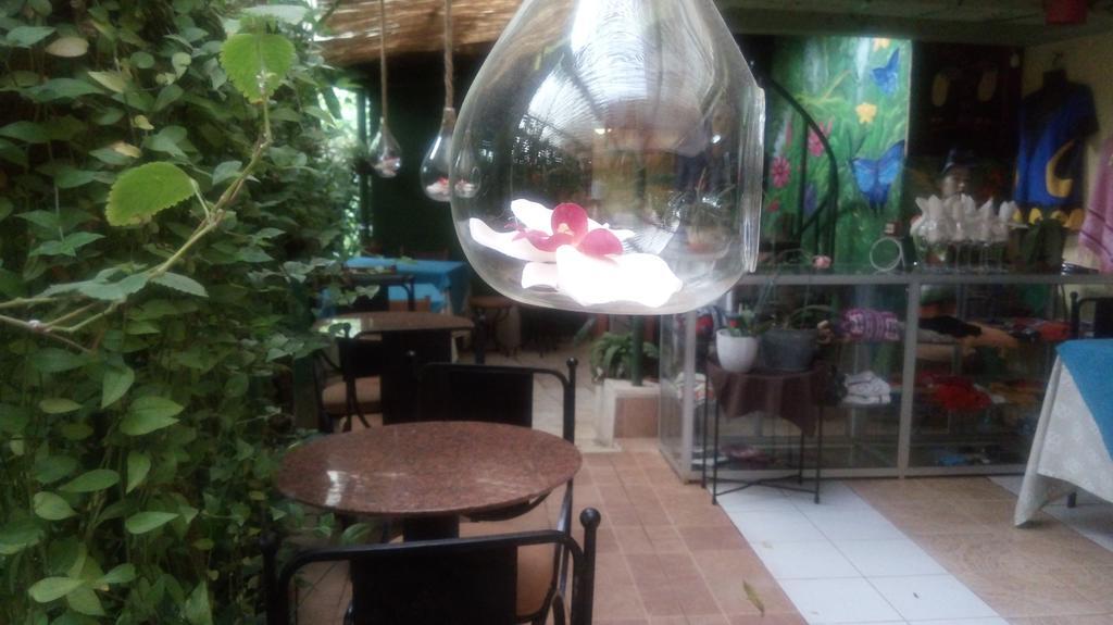 Hotel Los Jardines De Monteverde ภายนอก รูปภาพ