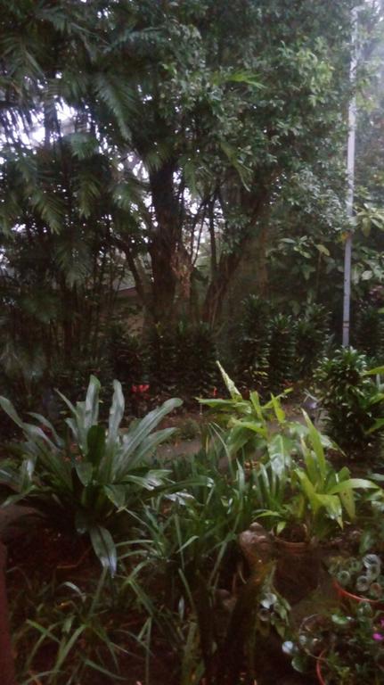Hotel Los Jardines De Monteverde ภายนอก รูปภาพ