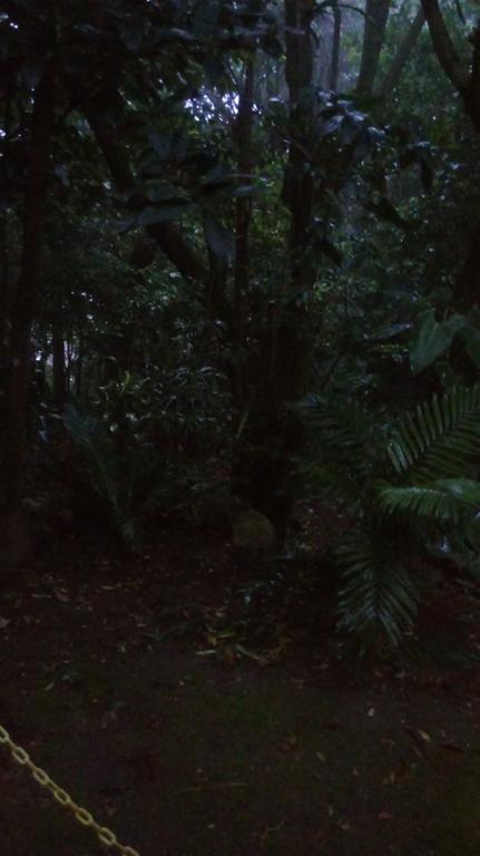 Hotel Los Jardines De Monteverde ภายนอก รูปภาพ