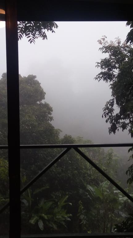 Hotel Los Jardines De Monteverde ภายนอก รูปภาพ