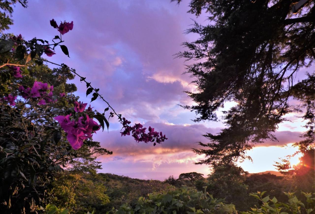 Hotel Los Jardines De Monteverde ภายนอก รูปภาพ